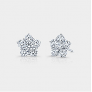 Stud Earring